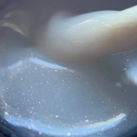 GEL Emulsion #2 NA-EG-2 фото