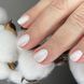 Топ матовый Allure SHELL Nailapex Ракушка NA-TOP-ALSH фото 2